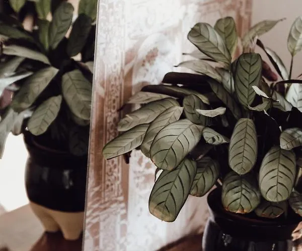 Rural Carniola Fairytale *