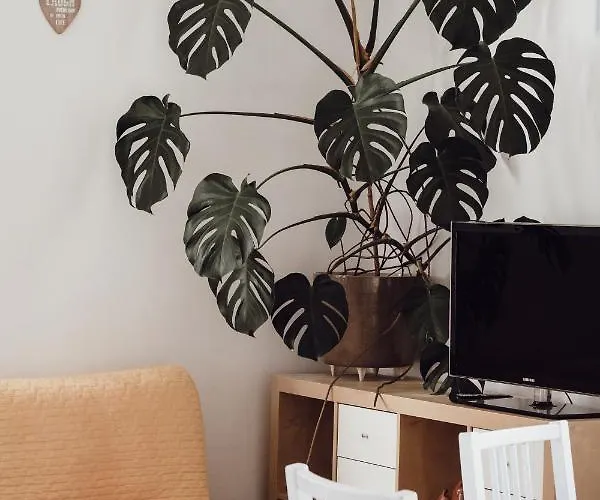 Rural Carniola Fairytale * Križe